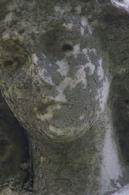 Lichen coats most of the face of this cemetery statue.