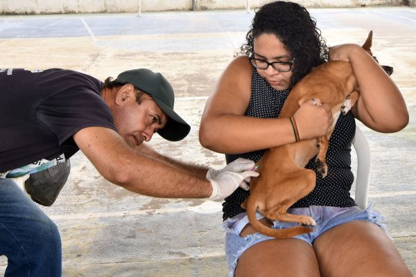 foto: Mauricio Alexandre
