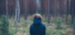 Bestattungen Wald