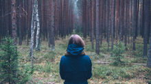 Can't See the Forest for the Trees? Know These 3 Important Corporate Reporting Trends