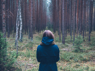Can't See the Forest for the Trees? Know These 3 Important Corporate Reporting Trends
