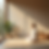 serene retreat setting natural light peaceful environment mindfulness practice space.png