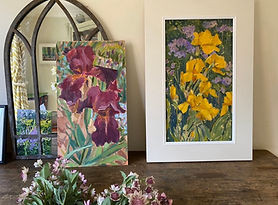 Revival Irises.jpg