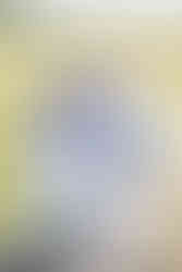 Seattle family of 5, teenage son and daughter with a 7 year old boy, pose together in front of the Puget Sound at Discovery Park.