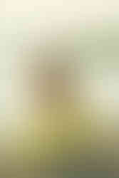 Desi woman in yellow dress posing in sand for Seattle Sunset Portrait at Golden Garden’s Beach