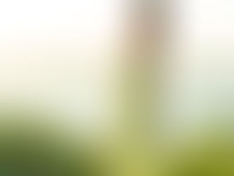 Golden Hour & Golden Memories: Capturing Beauty in this Seattle Sunset Portraits Session at Golden Gardens Beach