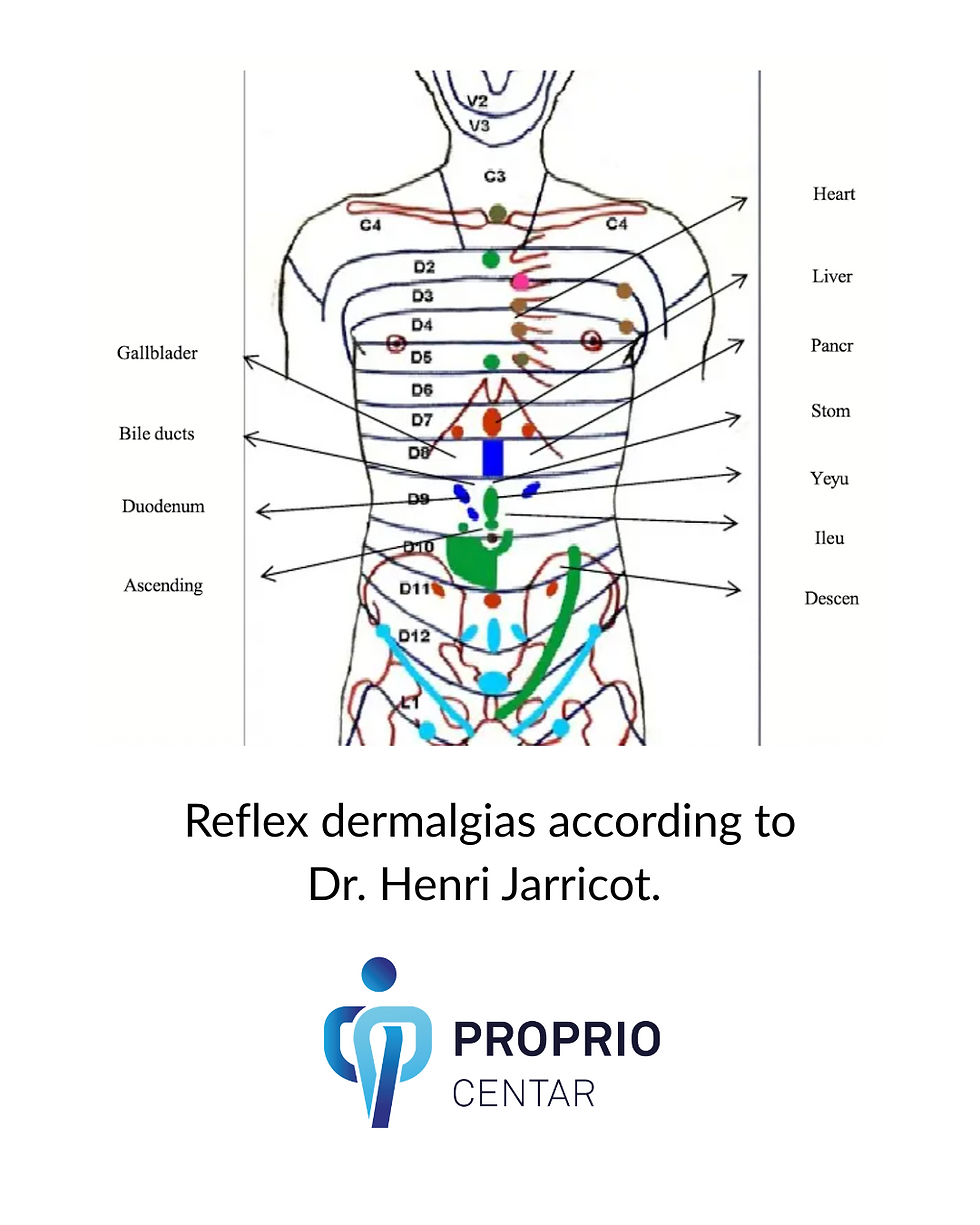 Jerricot dermatome