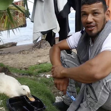 La increíble historia de Filomena, la pata que acompaña a un migrante en su regreso de a pie a Venezuela