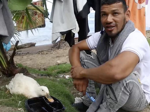 La increíble historia de Filomena, la pata que acompaña a un migrante en su regreso de a pie a Venezuela