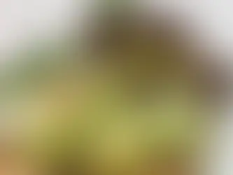 Marzo Es El Mes Perfecto Para Cambiar Tu Dieta: Estas Verduras De Temporada Hacen Que Comer Sano Sea Finalmente Fácil