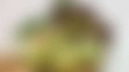 Marzo Es El Mes Perfecto Para Cambiar Tu Dieta: Estas Verduras De Temporada Hacen Que Comer Sano Sea Finalmente Fácil