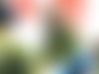 EjÃ©rcito canadiense contempla teÃ³ricamente unÂ ataqueÂ estadunidense