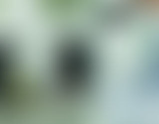 Sanidad autoriza administrar el cannabis para cuatro patologías, por vía oral y con una dosis máxima de 32 miligramos