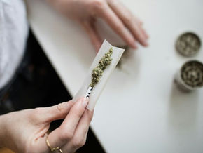 Cannabis Adolescente: El Estudio Que Demuestra Que Una Decisión A Los 14 Años Puede Destrozar Tu Cerebro A Los 25