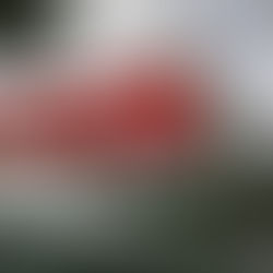 Odebrecht, un caso entre suspensiones y pruebas inutilizables