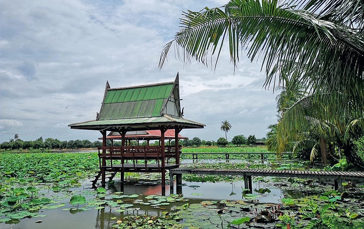 Maison sur pilotis au champs de fleurs de lotus durant la visite guidée de la campagne de Bangkok
