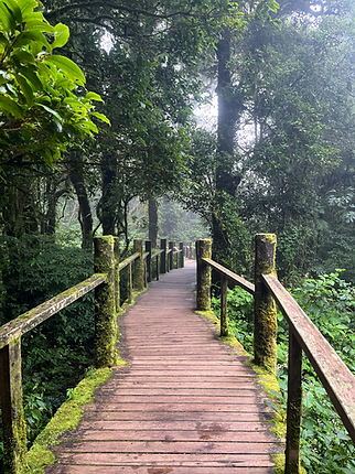 Les sentiers nature présents dans le parc national de Doi Inthanon (visiter chiang mai avec guide francophone)