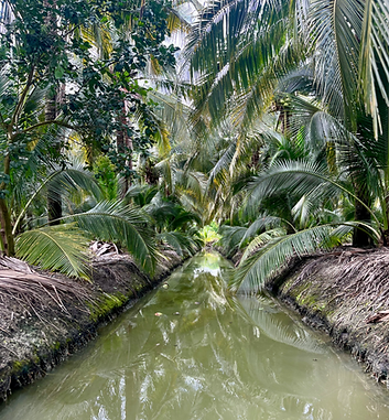 Les allées d'eau de la ferme thaïlandaiseà visiter avec guide francophone Bangkok