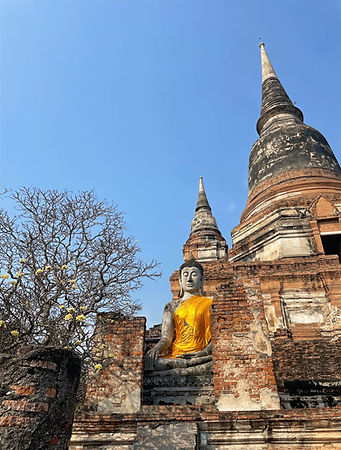 Bouddha à l'entrée du temple Wat Yai Chai Mongkhon (visiter Ayutthaya avec guide francophone)