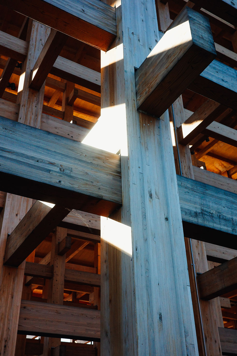 大阪万博生け花展レポート_大屋根リング