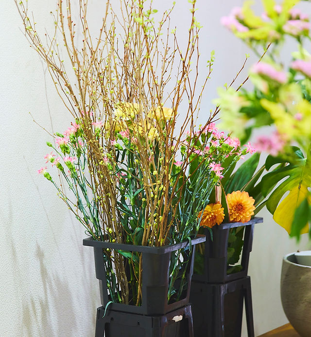 IKEBANA STUDIO 生け花教室 おおら花 | 東京日本橋のいけばな・華道