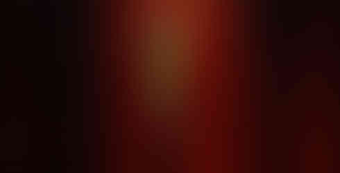 生け花作品 装花 和食料亭の写真4