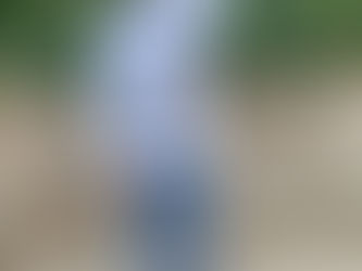 Don’t miss out on Bandanna$aint’s Come Up