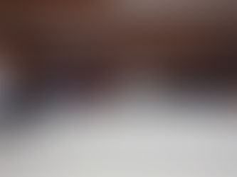 Misión a Japón: AEBE respalda negociación para mayor acceso del banano ecuatoriano