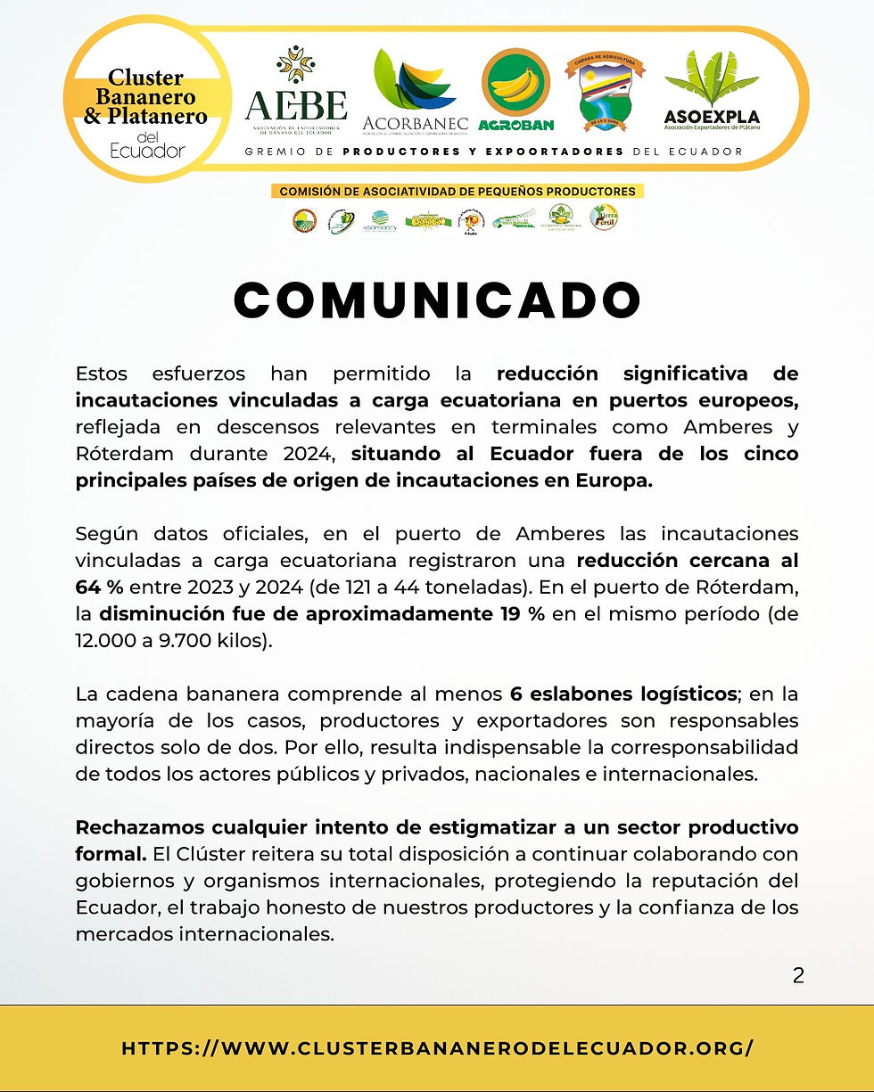 Comunicado Oficial del Clúster Bananero y Platanero del Ecuador sobre trazabilidad y seguridad de la cadena bananera