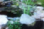 Decker Pond 4