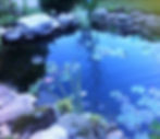 Decker Pond 3