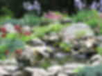 Water Garden for ads- Sperry
