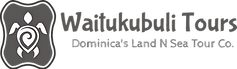 Dominica Waitukubuli Tours_edited.png
