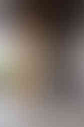 Bronze Stripped Door Simple Grand Door