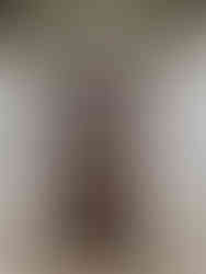 Luxury Metal Front Door