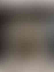 LUXURY METAL LIFT PANEL