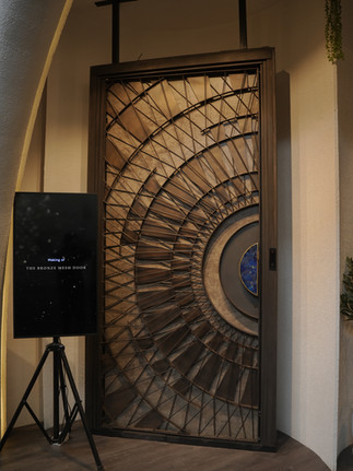 LUXURY METAL FRONT DOORS