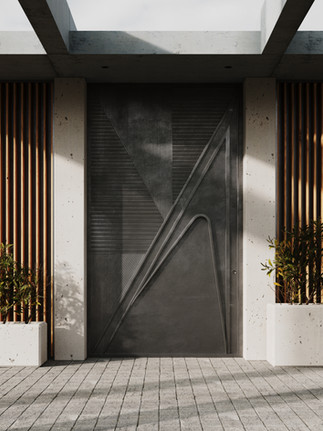 LUXURY METAL DOOR