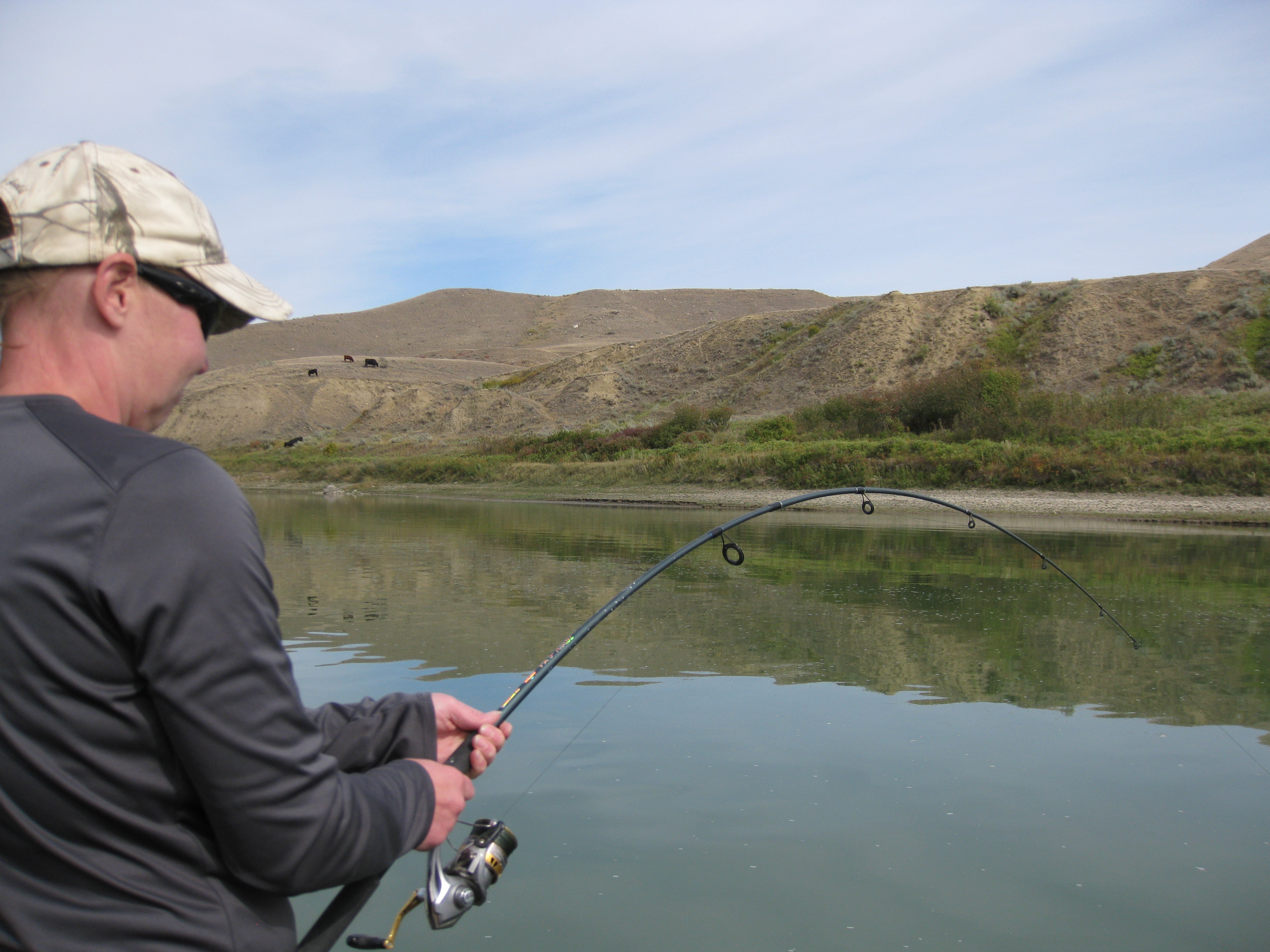 Guided Alberta sturgeon fishing trips and adventures.
