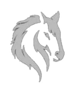 作家相片: KCC Legal