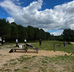 Cours collectifs