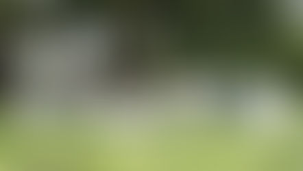 2024.7.27 전교인 아웃팅 (UC 버클리)