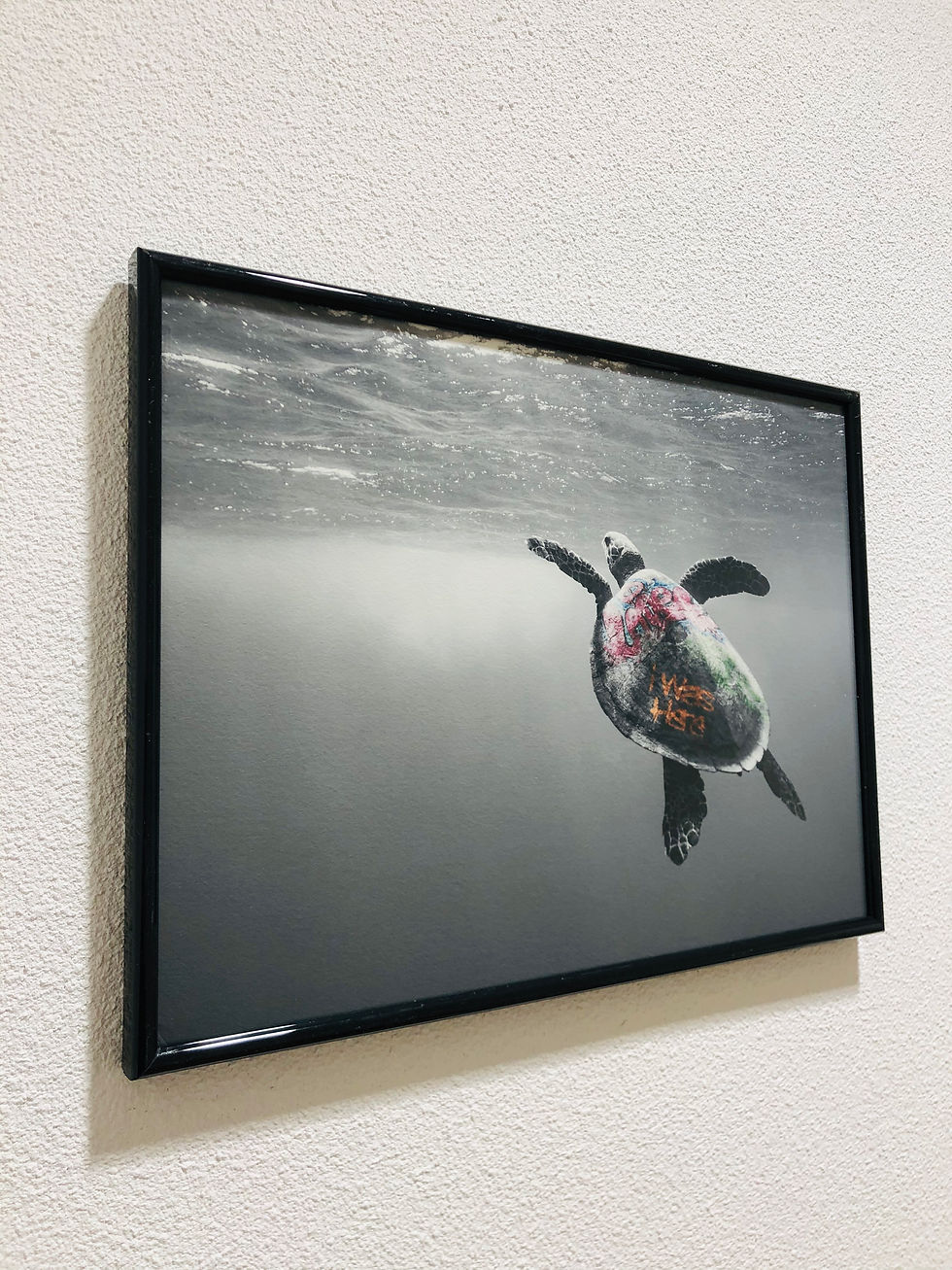 Miniatura: Ero qui, la colpa è tua quanto loro