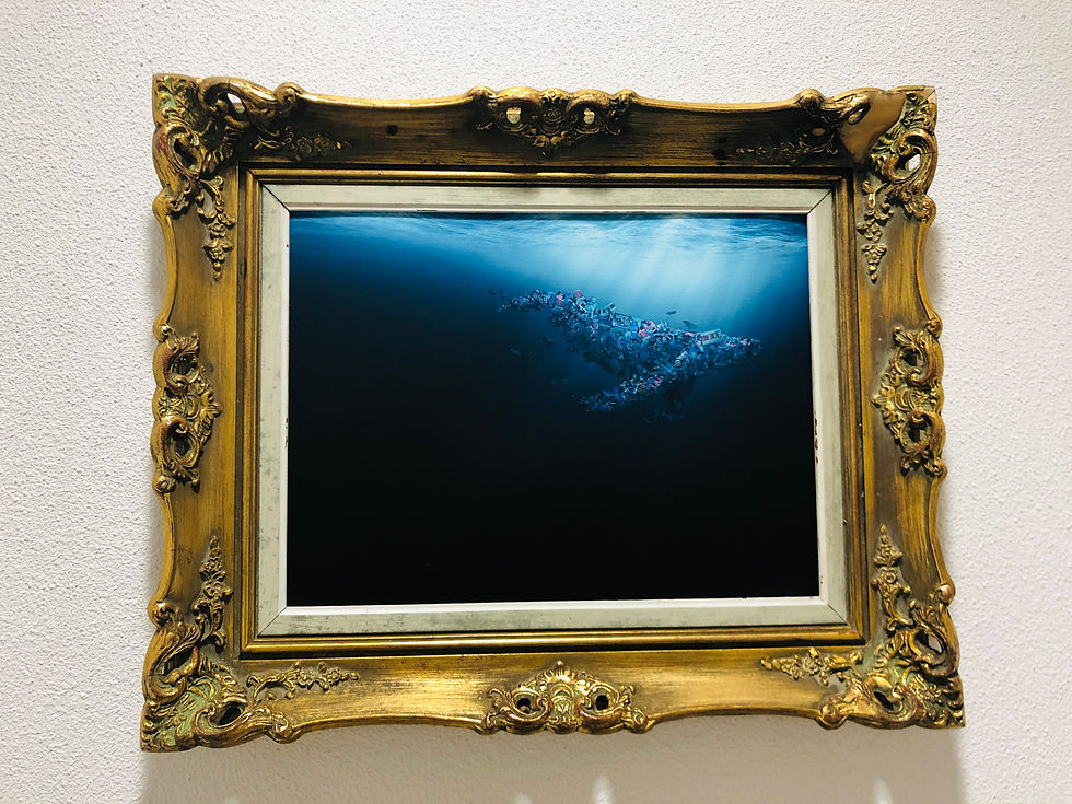 Miniatura: What A Waste