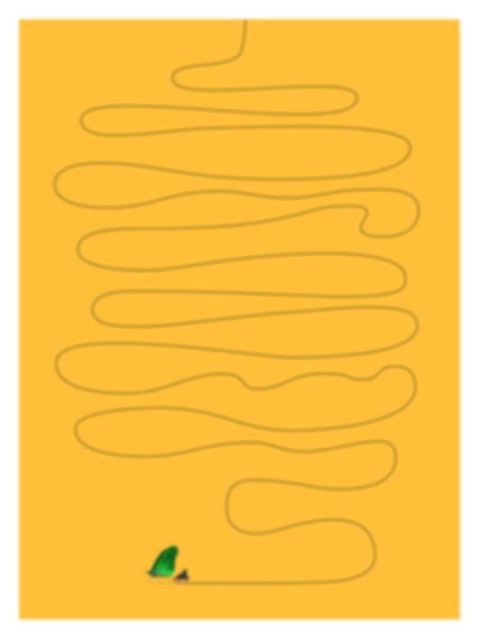 They Won't Care How LongIt Took, They'll Be Jealous Of Your Journey Anyway!