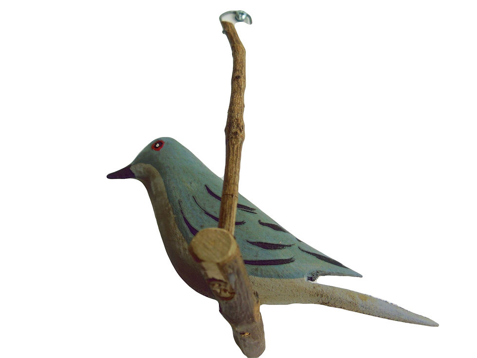 Miniatura: Diucón