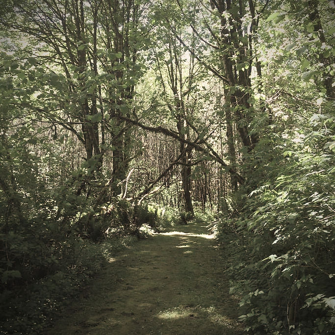 Retreat Path 2017_edited.jpg