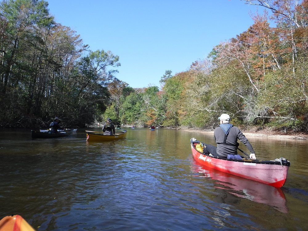 Shoal River on a Sunny Day