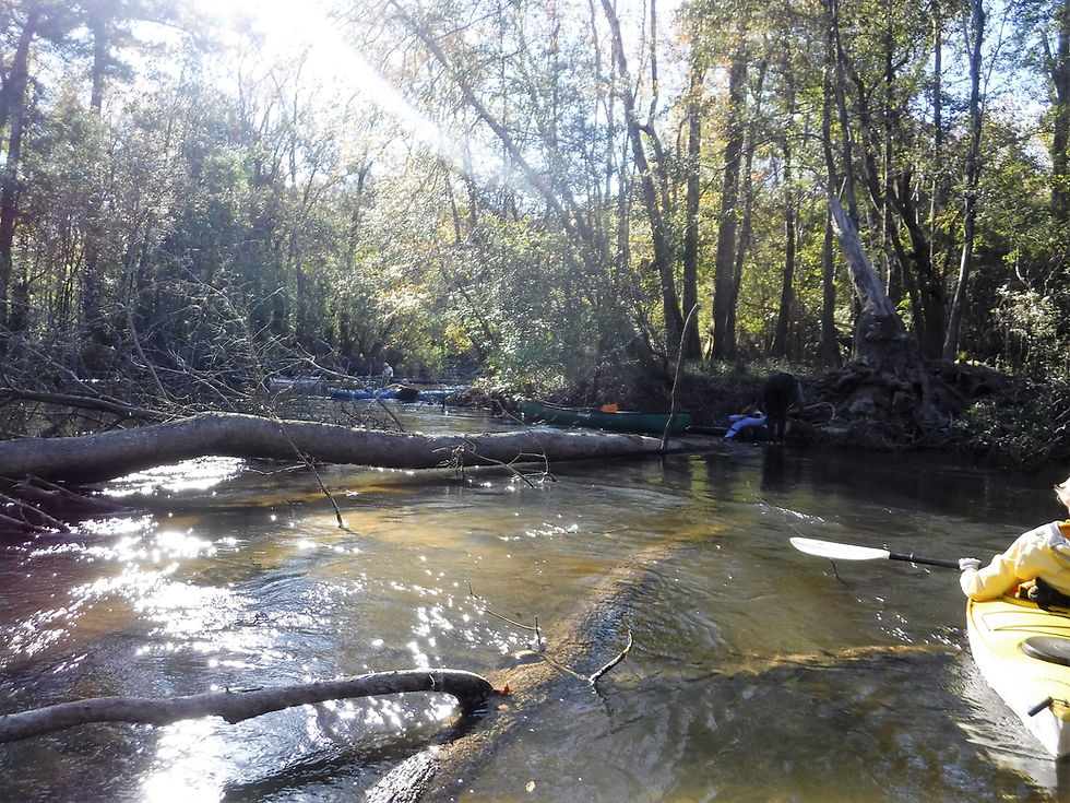 Shoal River Cutoff Pullover