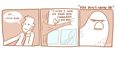 littlebirddef.jpg